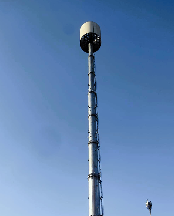 Camouflage Monopoles